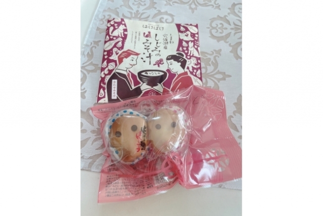 日帰りだそうです…