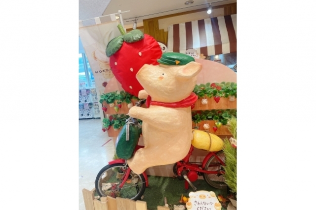 なんでもない写真…